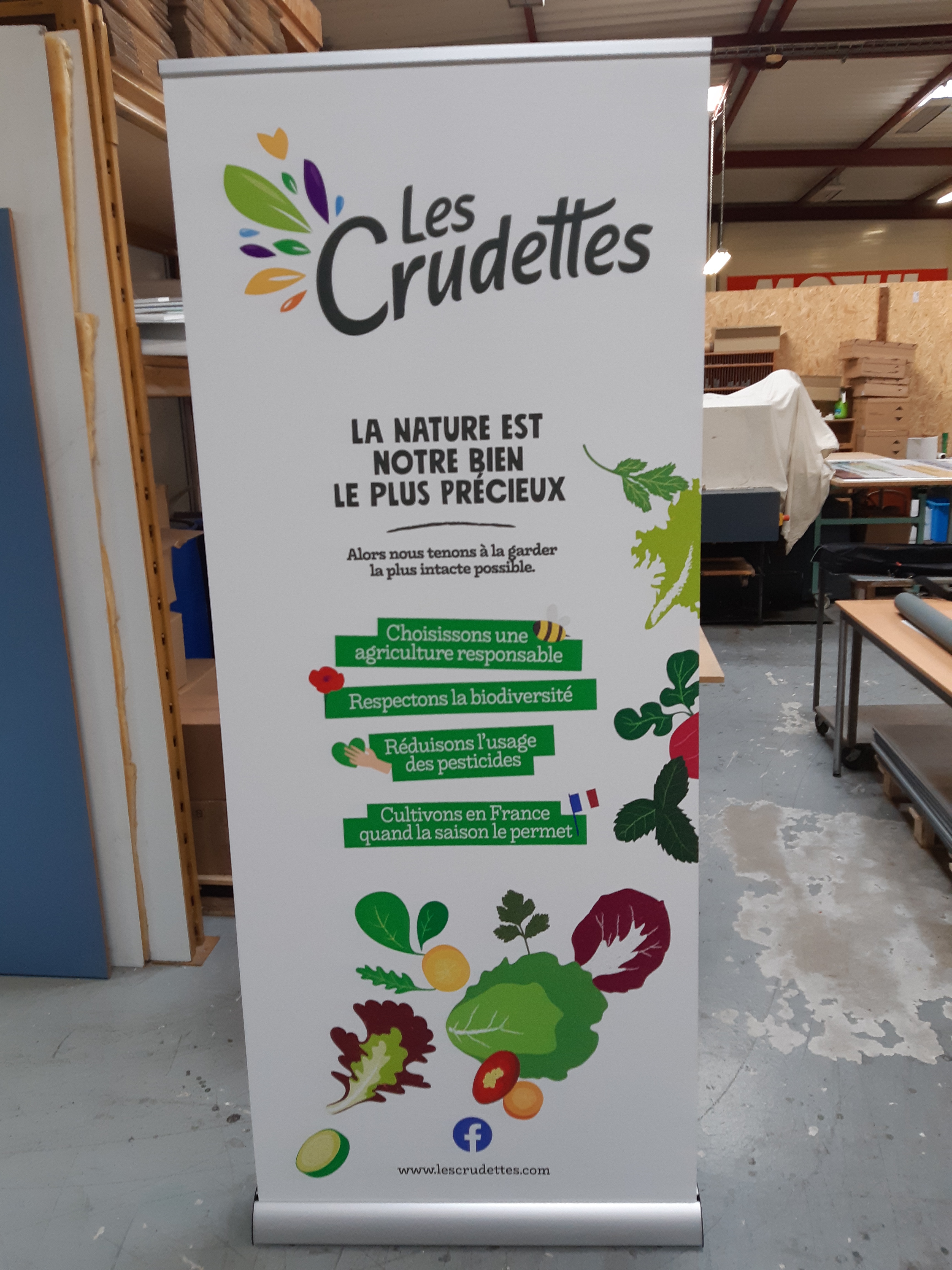 roll-up crudettes.jpg roll-up crudettes.jpg